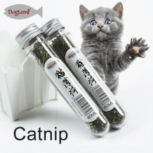 Catnip Cat Toy Catnip frais danseur Organiccat 601 cataire chat danseur chat interactif jouet